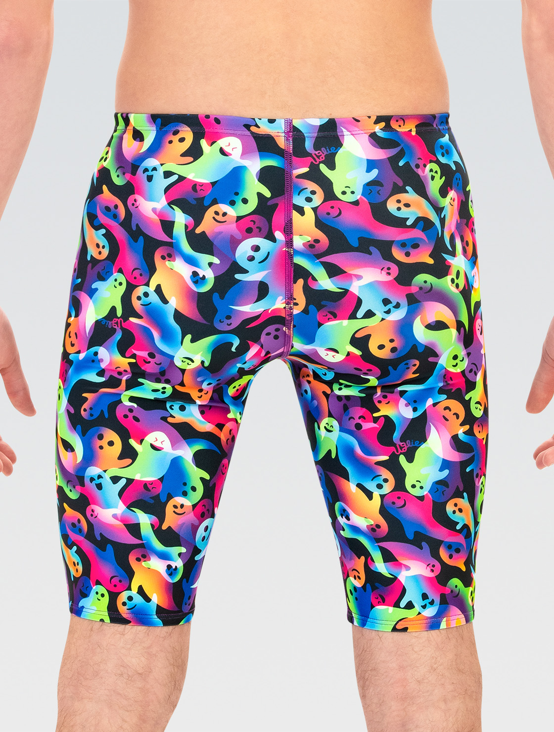 3頭グラキリス発根済み かわいいカッコイイです‼️ 今年は葉が落ちない^_^